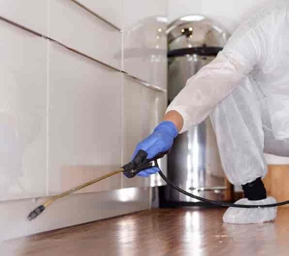 hat cleaning service pest control and cleaning service service vyttila hat cleaning service pest control and cleaning service service vyttila